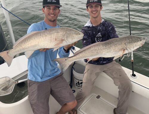 October Fishing in Tampa Bay