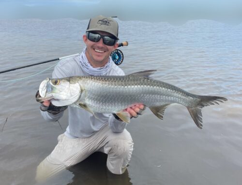 Fly Bonanza On The Flats