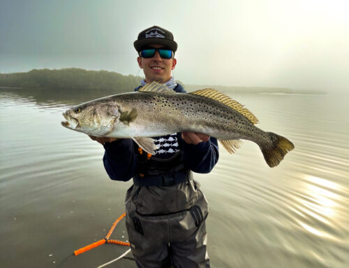 Gator Trout Are Loving The Colder Temps